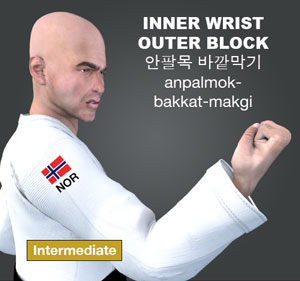 Inner Wrist Outer Block (anpalmok momtong bakkat makgi)