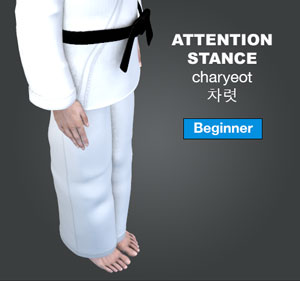 Attention Stance ( 차렷 charyeot )