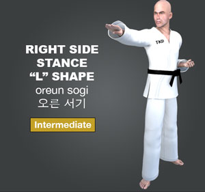 Right Side Stance ( 오른 서기 oreun-sogi )