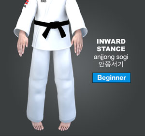 Inward Stance ( 안쫑서기 anjjong-sogi )