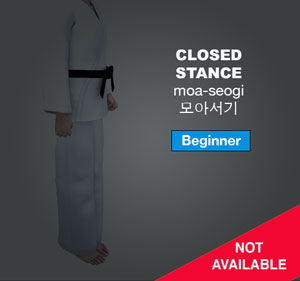 Closed Stance ( 모아서기 moa-sogi )