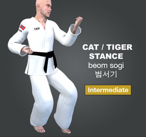 Cat Stance ( 범서기 beom-sogi )