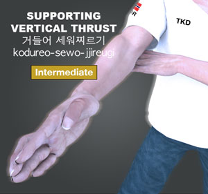 Supporting Vertical Thrust ( 거들어 세워찌르기 kodureo-sewo-jjireugi )