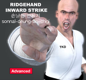 Ridgehand Inward Strike ( 손날등 안치기 sonnal-deung-an-chigi )