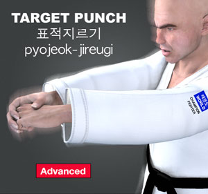 Target Punch ( 표적지르기 pyojeok-jireugi )