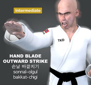 Hand Blade Outward Strike ( 손날 바깥치기 sonnal-olgul-bakkat-chigi )