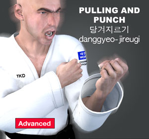 Pulling and Punching ( 당겨지르기 danggyeo-jireugi )