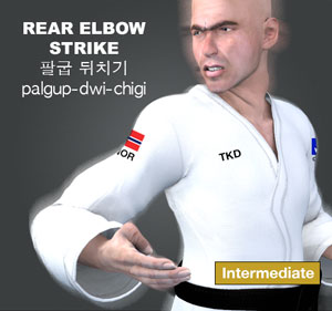 Elbow Rear Strike ( 팔굽 뒤치기 palgup-dwi-chigi )