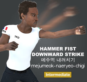 Hammer Fist Downward Strike ( 메주먹 내려치기 mejumeok-naeryeo-chigi )