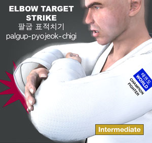 Elbow Target Strike ( 팔굽 표적치기 palgup-pyojeok-chigi )