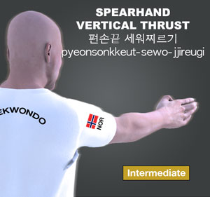 Spearhand Vertical Thrust ( 편손끝 세워찌르기 pyeonsonkkeut-sewo-jjireugi )