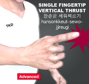 Single Fingertip Vertical Thrust ( 한손끝 세워찌르기 hansonkkeut-sewo-jjireugi )