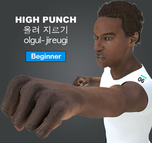 High Punch ( 올려 지르기 olgul-jireugi )