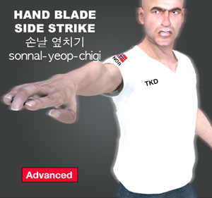 Hand Blade Side Strike ( 손날 옆치기 sonnal-yeop-chigi )