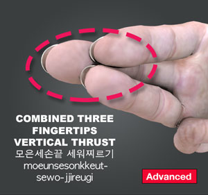 Combined Three Fingertips Vertical Thrust ( 모은세손끝 세워찌르기 moeunsesonkkeut-sewo-jjireugi )