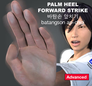 Palm Heel Forward Strike ( 바탕손 앞치기 batangson-ap-chigi )